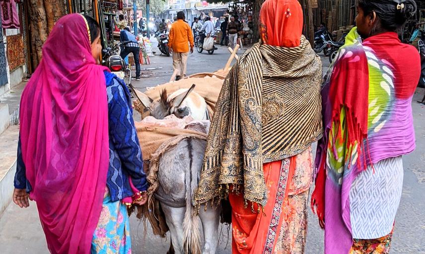 Sari ladies in Jodhpur