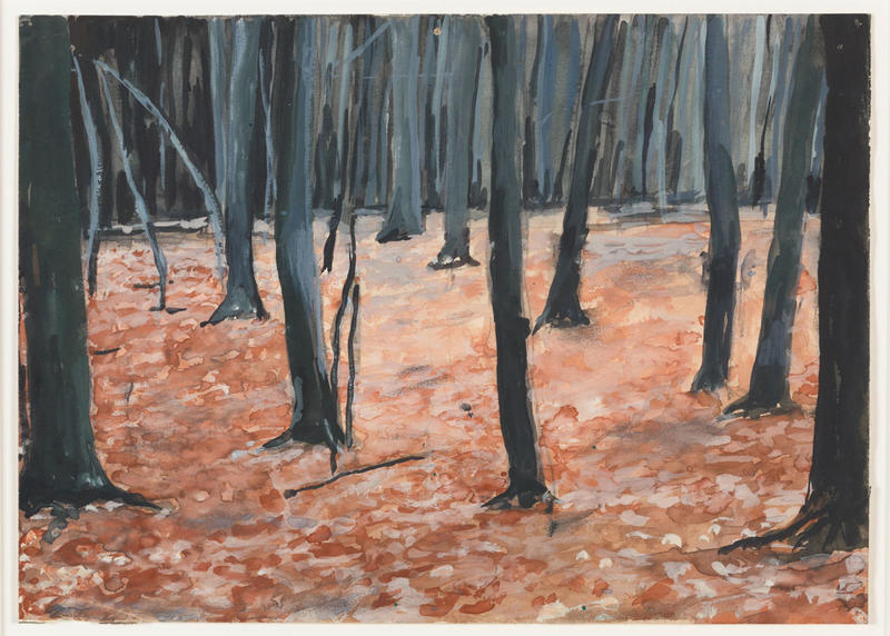 2 wald hall collection c anselm kiefer 2 wald hall collection c anselm kiefer