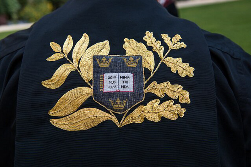 THE CHANCELLOR IN NEW ROBES, COMPLETED 2015