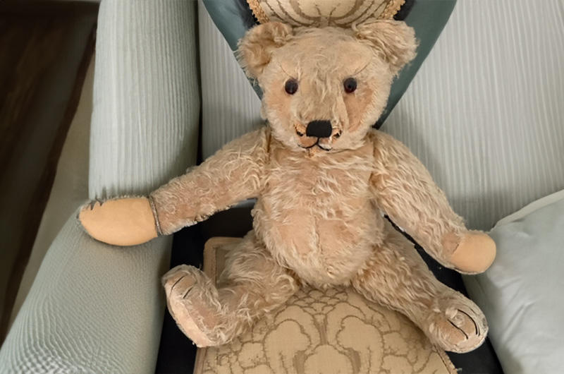 arnheim teddy bear 2