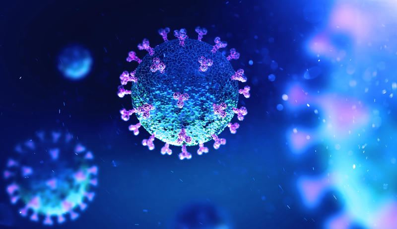 The Covid19 virus