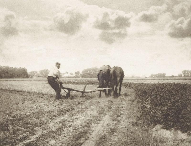 Dutch peasant ploughing with two horses credit shutterstock A black and white picture of a dutch peasant ploughing with two horses
