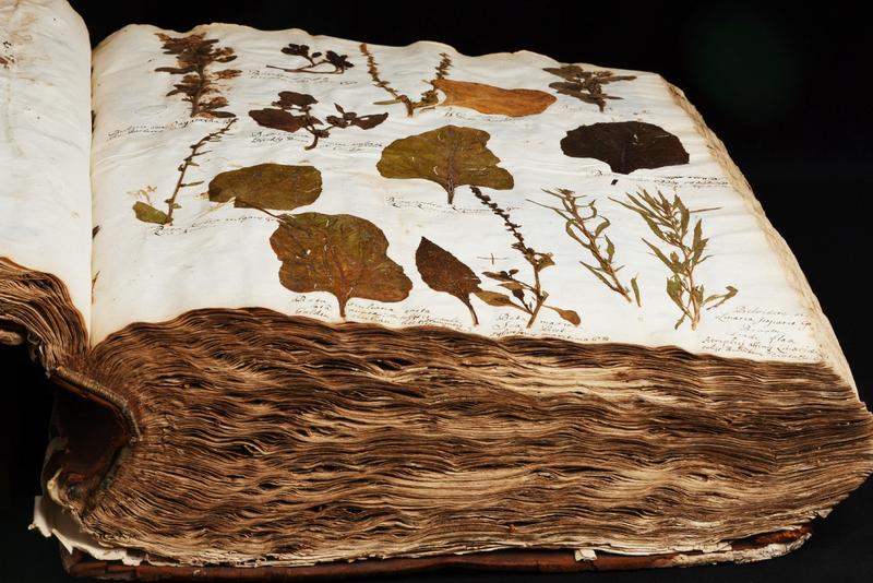 Herbaria book