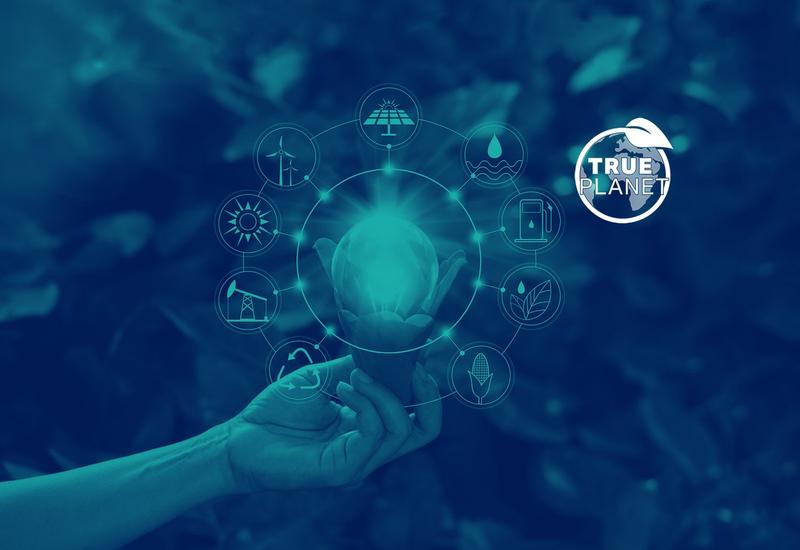 True Planet logo - hand holding lightbulb of ideas