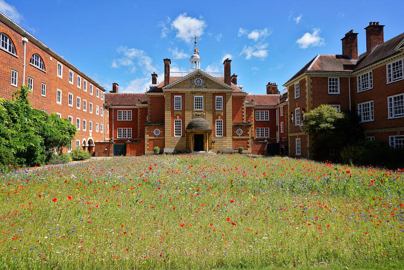 LMH Talbot Hall, Quadrangle, Wild Flower Meadow