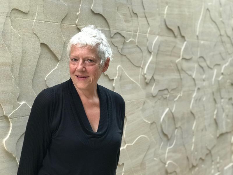 Artist Susanna Heron