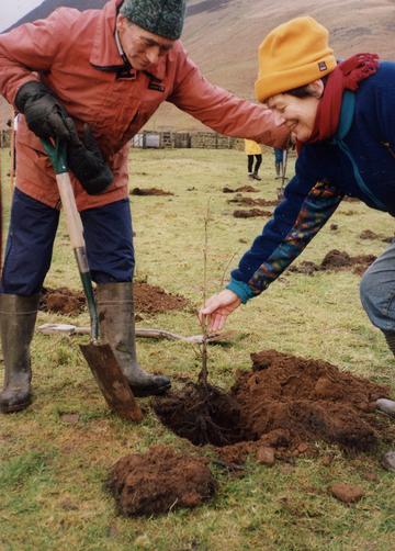 The first tree planted at Carrifran, Jan 1 2000 The first tree planted at Carrifran, Jan 1 2000
