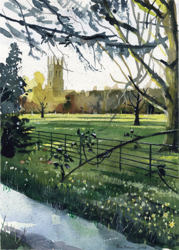 A painting of Addison's Walk by Ian Davis