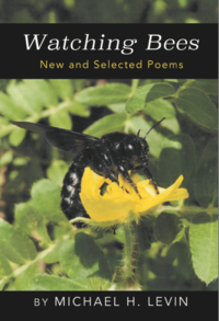 Book jacket for Watching Bees