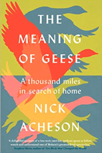 Front cover of The Meaning of Geese by Nick Acheson Front cover of The Meaning of Geese by Nick Acheson